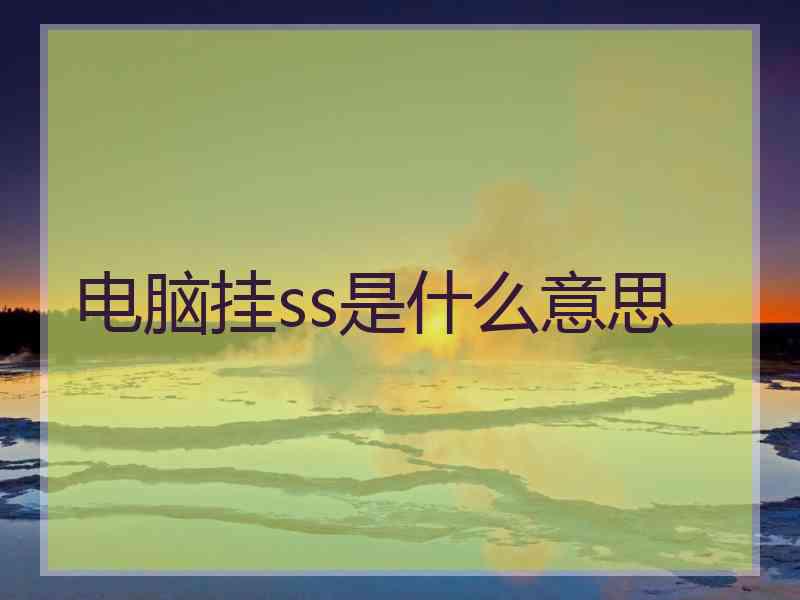 电脑挂ss是什么意思