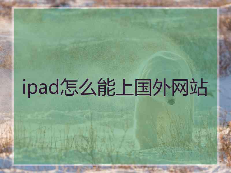 ipad怎么能上国外网站