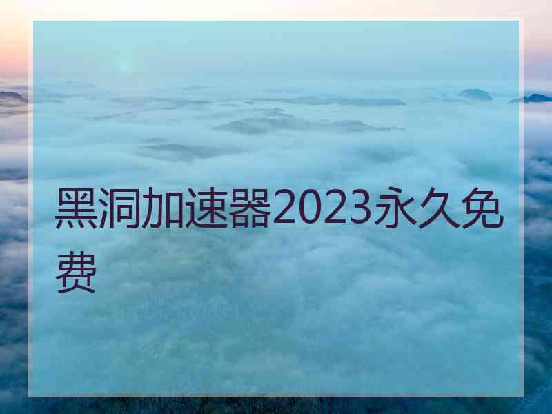 黑洞加速器2023永久免费