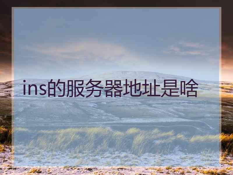 ins的服务器地址是啥