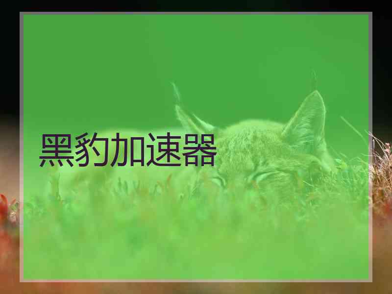黑豹加速器