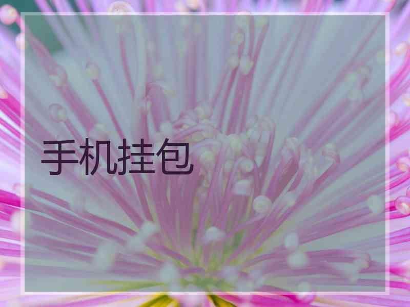 手机挂包