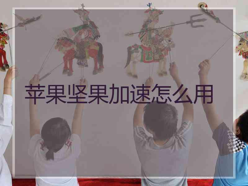 苹果坚果加速怎么用