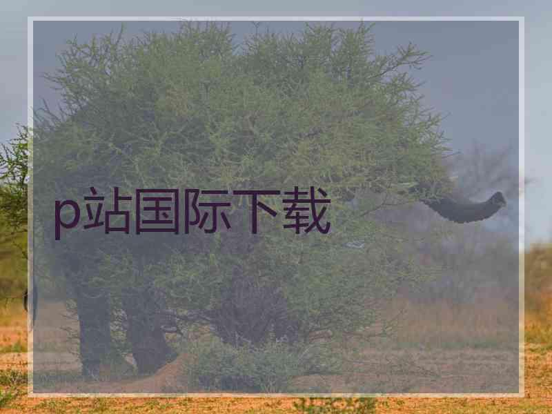 p站国际下载