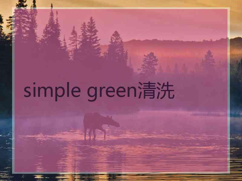 simple green清洗