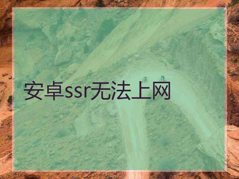 安卓ssr无法上网