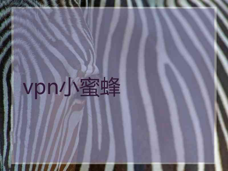 vpn小蜜蜂